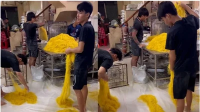 Hơn 800 tấn mì tươi trộn hóa chất đã tuồn ra thị trường TP HCM