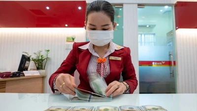 Ngân hàng Nhà nước yêu cầu tăng kiểm tra mua bán ngoại tệ