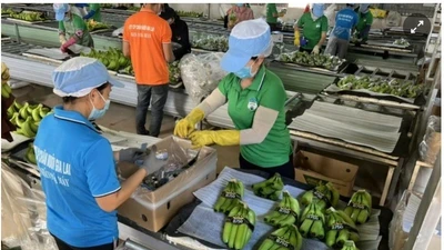 Bầu Đức muốn buông HAGL Agrico