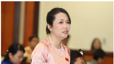 Đại biểu HĐND TPHCM: Người dân dễ tiếp cận nhà ở xã hội từ... 'cò' đất