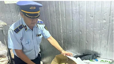 Phát hiện thịt lợn bốc mùi hôi thối sắp 'tuồn' ra thị trường