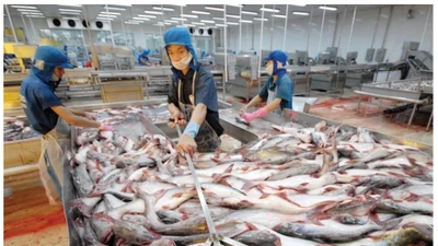 'Vua cá tra' từng làm ăn ra sao trước khi rời sàn chứng khoán?