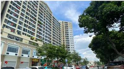 Minh bạch, chuẩn hóa hoạt động nhà chung cư