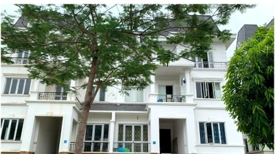 Chủ nhà cho thuê dưới ngưỡng chịu thuế vẫn phải kê khai