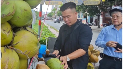 Xuất khẩu dừa tươi nhìn từ bài học sầu riêng, thanh long