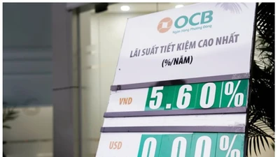 Nỗ lực giữ ổn định lãi suất