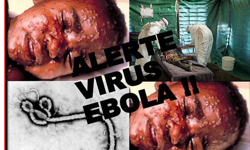 Lần đầu tiên các chuyên gia phát hiện virus Ebola là tác nhân gây ra bệnh sốt xuất huyết Ebola vào những năm 1970. Lần đầu tiên các chuyên gia phát hiện virus Ebola là tác nhân gây ra bệnh sốt xuất huyết Ebola vào những năm 1970.