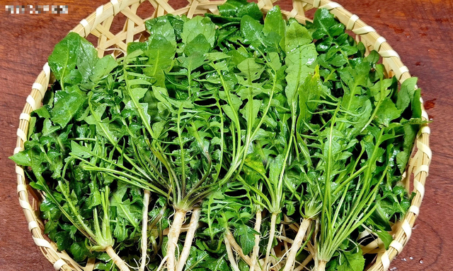 Rau tề thái có gì đặc biệt mà được ca ngợi là 'cỏ tiên' dưỡng nhan? - Hình 3 Rau te thai co gi dac biet ma duoc ca ngoi la 'co tien' duong nhan?-Hinh-3