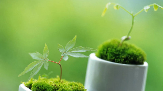 5 ơn nghĩa càng tri ân càng gặp phúc lớn 5 on nghia cang tri an cang gap phuc lon