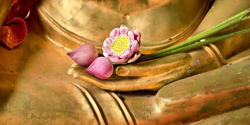 Phật dạy: Điều thất đức nhất trên đời tuyệt đối không được phạm Phat day: Dieu that duc nhat tren doi tuyet doi khong duoc pham