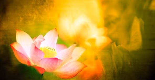 My duc khien Duc Phat cam dong, som muon cung nhan duoc phuc bao-Hinh-2