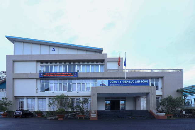 Dien luc Lam Dong moi thau kiem toan cac du an luoi dien 2025