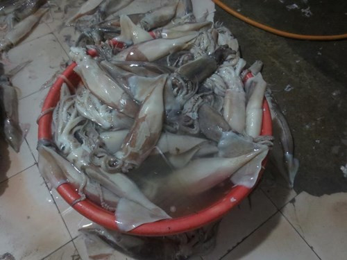 Mực đã được ngâm hóa chất tẩy trắng. Mực đã được ngâm hóa chất tẩy trắng.