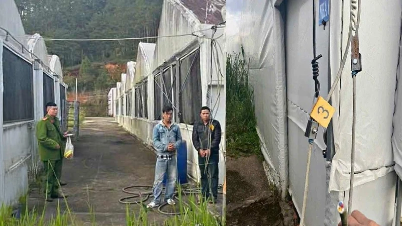 Hai nghi phạm vận chuyển dây điện trộm cắp bị Công an xã Lạc Dương bắt giữ