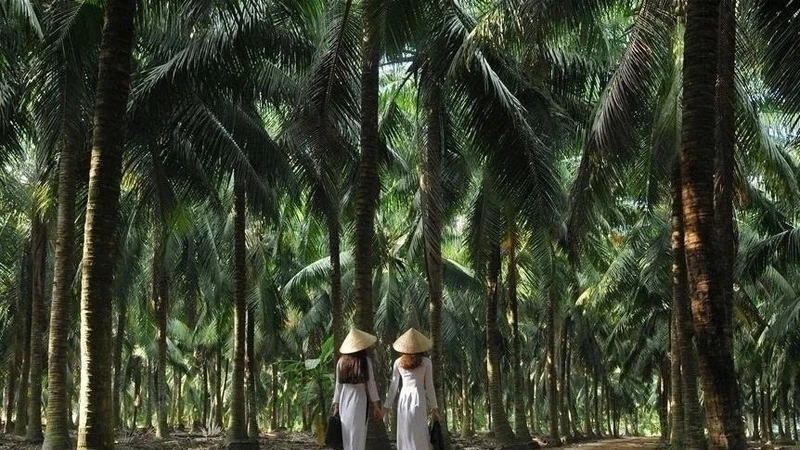 Du xuân ‘xứ dừa’: Những điểm đến hấp dẫn không thể bỏ qua