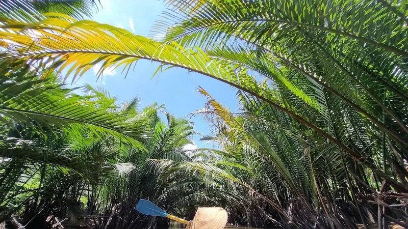 Về miền sông nước Vĩnh Long tìm hồn quê Việt