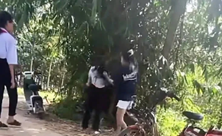 Xử phạt hai học sinh lớp 9 liên quan vụ việc xô xát với nữ sinh lớp 7