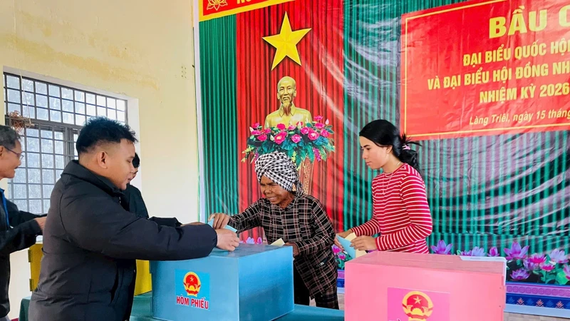 Gia Lai công bố kết quả bầu cử đại biểu HĐND tỉnh nhiệm kỳ 2026-2031