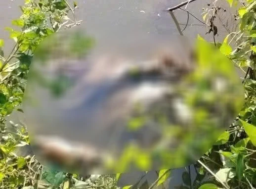 Bắt khẩn cấp nghi phạm 16 tuổi liên quan vụ bé gái 13 tuổi tử vong ở Cà Mau