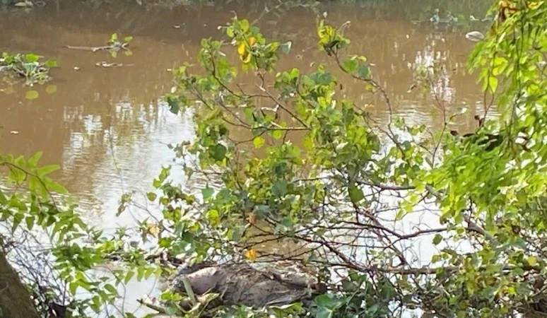 Điều tra vụ người đàn ông tử vong chưa rõ nguyên nhân tại xã Bình Đức