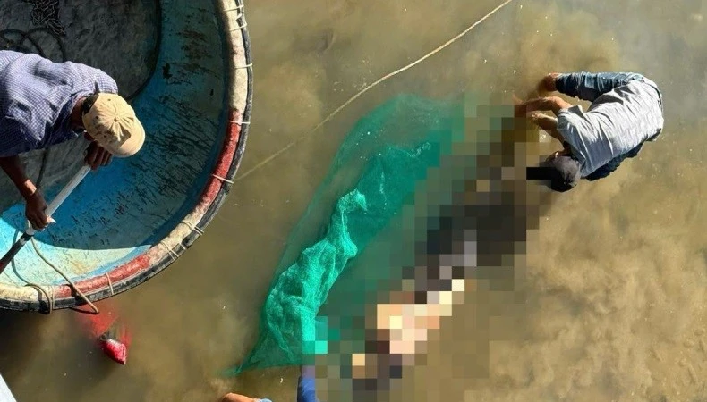 Điều tra vụ thi thể cụ bà được phát hiện dưới sông Cà Ty