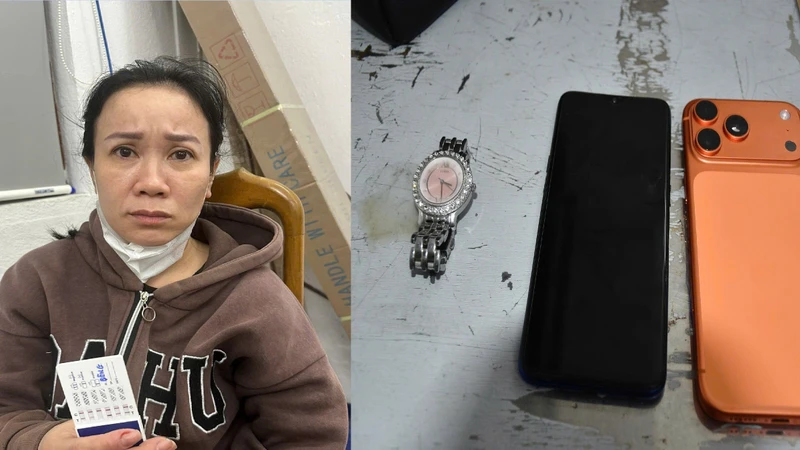 Giả làm người thân chăm bệnh, phụ nữ 41 tuổi trộm cắp tài sản trong bệnh viện