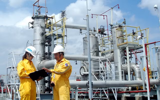 Phu nu lam 5 nghe nay kho co con hoac hiem muon-Hinh-11