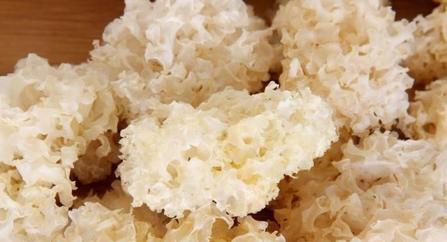 Vì sao nấm tuyết được ví như tổ yến cho người nghèo? - Hình 9 Vi sao nam tuyet duoc vi nhu to yen cho nguoi ngheo?-Hinh-9