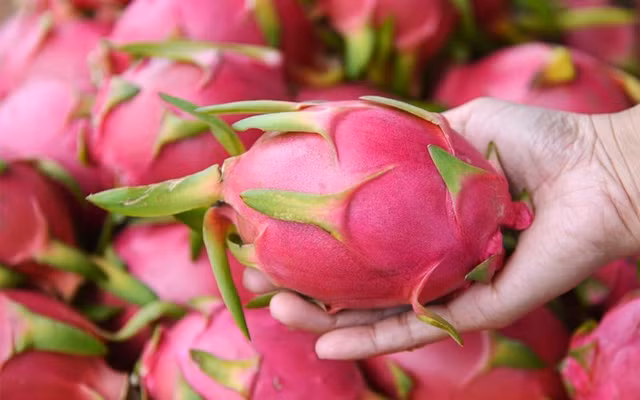 3 loai thanh long khong nen mua, an vao anh huong suc khoe-Hinh-7