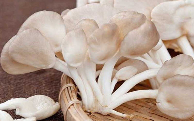 Lưu ý 4 loại rau quen thuộc chứa rất nhiều ký sinh trùng - Hình 5 Luu y 4 loai rau quen thuoc chua rat nhieu ky sinh trung-Hinh-5