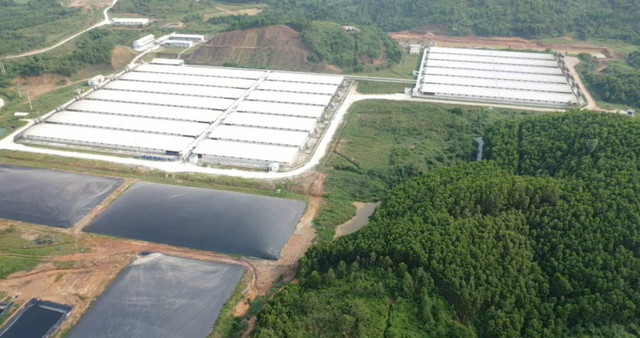 Trang trại nuôi lợn Hòa Phát Bắc Giang xin lỗi dân vì gây ô nhiễm nặng - Hình 6 Trang trai nuoi lon Hoa Phat Bac Giang xin loi dan vi gay o nhiem nang-Hinh-6