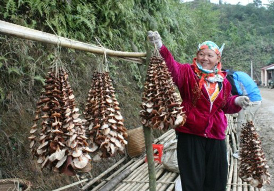 Món ăn vùng cao trở thành đặc sản lạ miệng trên mâm cỗ ngày Tết - Hình 6 Mon an vung cao tro thanh dac san la mieng tren mam co ngay Tet-Hinh-6