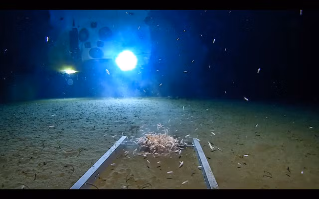 Dia diem sau nhat tren Trai dat va bi mat gay soc-Hinh-10