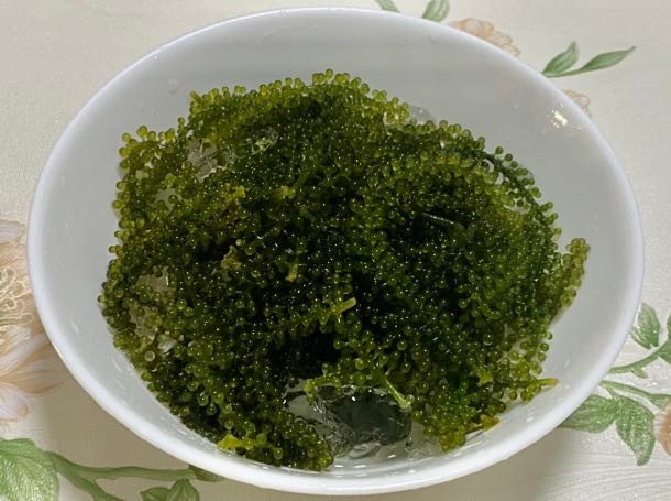 Vì sao rong nho được coi như “thần dược” ở Việt Nam? - Hình 3 Vi sao rong nho duoc coi nhu “than duoc” o Viet Nam?-Hinh-3