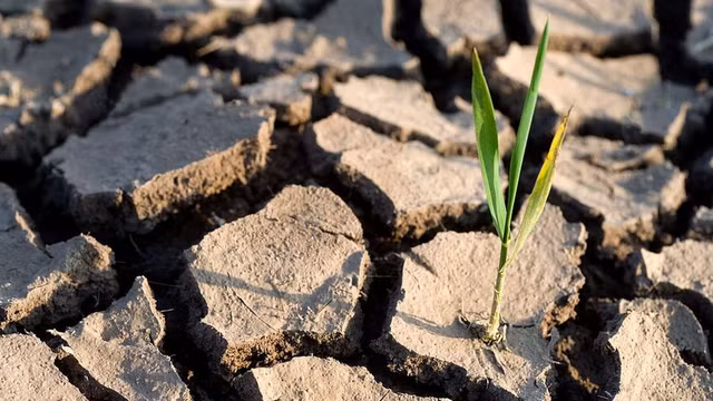 Them mot tien tri moi ve van menh Trai dat nam 2100-Hinh-4