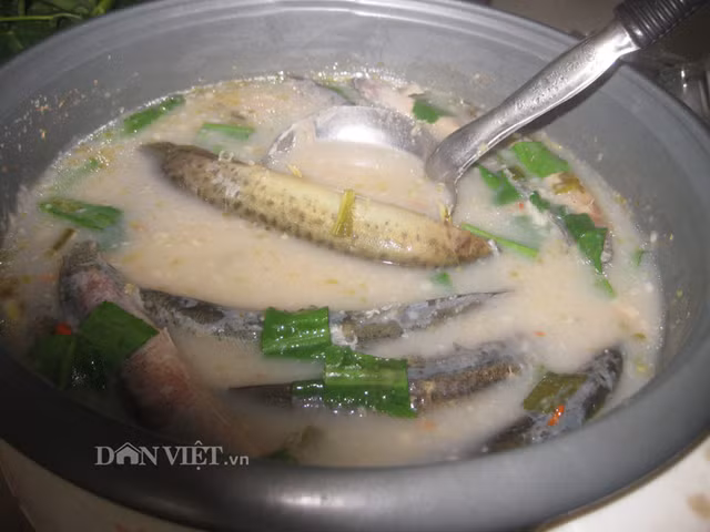 Mon ngon tu ca chach - dac san cai thien sinh ly cho quy ong-Hinh-2