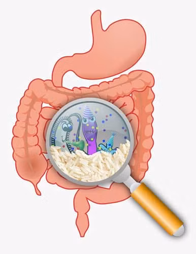 9 cach hieu qua giam dau da day nhanh chong khong can dung thuoc-Hinh-7
