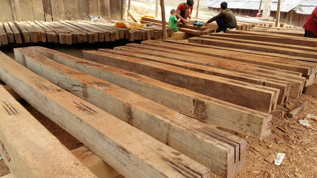 Sơn La: Nhận diện lâm tặc ngang nhiên phá rừng Chiềng Khừa - Hình 3 Son La: Nhan dien lam tac ngang nhien pha rung Chieng Khua-Hinh-3