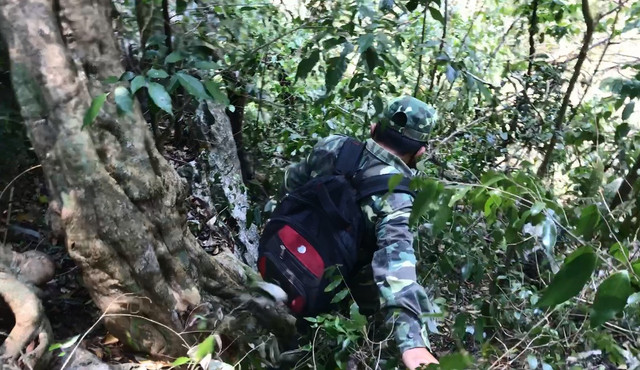 Sơn La: Nhận diện lâm tặc ngang nhiên phá rừng Chiềng Khừa - Hình 4 Son La: Nhan dien lam tac ngang nhien pha rung Chieng Khua-Hinh-4