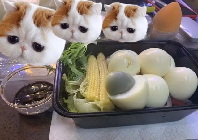 Chi an 2 loai thuc pham nay suot 2 nam, 'Thai tu phi' da giam 18kg de thanh hotgirl-Hinh-7