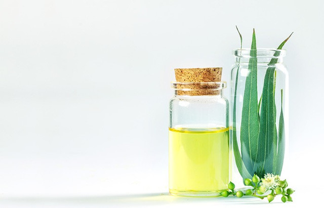 Tóc bị gàu làm sao loại bỏ: 9 công thức sạch gàu siêu hay bạn nên thử tại nhà - Hình 6 Toc bi gau lam sao loai bo: 9 cong thuc sach gau sieu hay ban nen thu tai nha-Hinh-6
