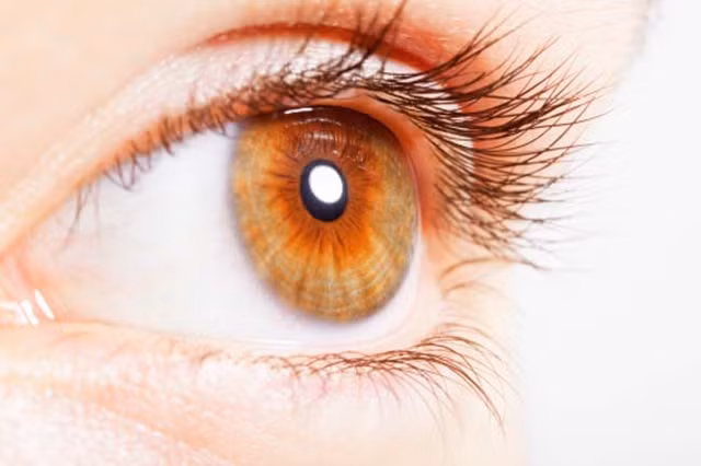 Salad rau tuoi mang lai rat nhieu loi ich suc khoe-Hinh-10