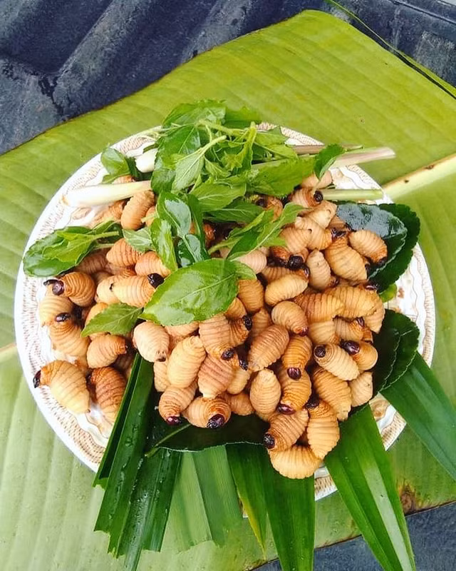 Nhin ghe so nhung duong dua co the che bien loat mon ngon gay ghien-Hinh-2