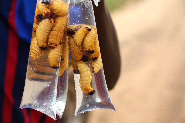 Cho chau Phi voi nhung mon an kinh di ban dam thu?-Hinh-5