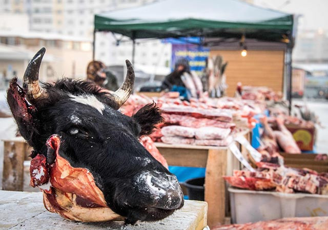 Thú vị khu chợ bán cá thịt mà không cần ướp đá - Hình 9 Thu vi khu cho ban ca thit ma khong can uop da-Hinh-9