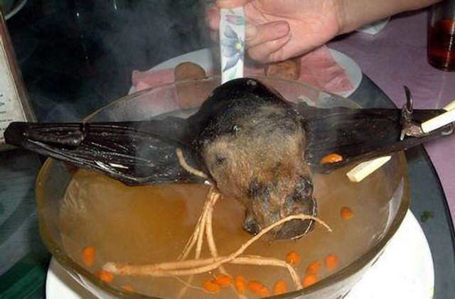 Kinh dị món súp dơi nguyên con, nhìn đã muốn ngất - Hình 11 Kinh di mon sup doi nguyen con, nhin da muon ngat-Hinh-11
