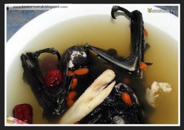 Kinh dị món súp dơi nguyên con, nhìn đã muốn ngất - Hình 12 Kinh di mon sup doi nguyen con, nhin da muon ngat-Hinh-12