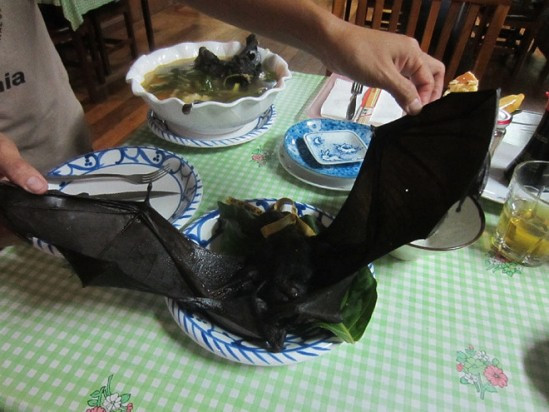 Kinh dị món súp dơi nguyên con, nhìn đã muốn ngất Kinh di mon sup doi nguyen con, nhin da muon ngat