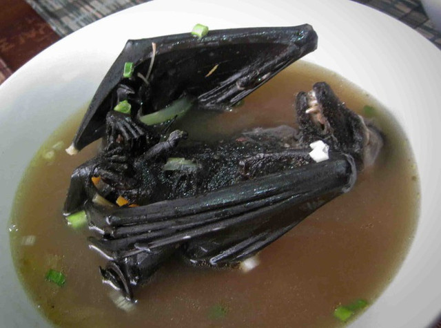 Kinh dị món súp dơi nguyên con, nhìn đã muốn ngất - Hình 8 Kinh di mon sup doi nguyen con, nhin da muon ngat-Hinh-8