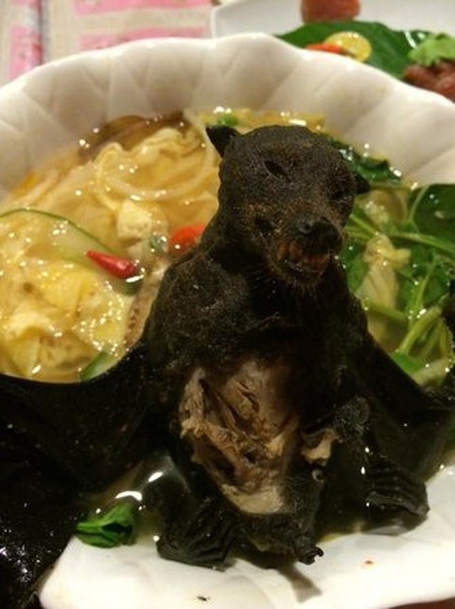 Kinh dị món súp dơi nguyên con, nhìn đã muốn ngất - Hình 7 Kinh di mon sup doi nguyen con, nhin da muon ngat-Hinh-7